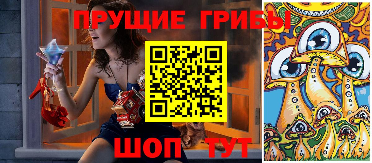 цены   Вход с VPN  Димитровград  Псилоцибиновые грибы GOLDEN TEACHER 