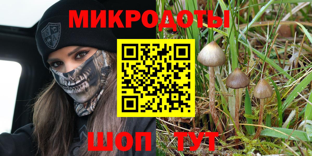 Галлюциногенные грибы мухоморы Димитровград